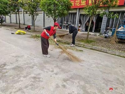 双桥社区：志愿服务进湾组 清洁家园焕新颜