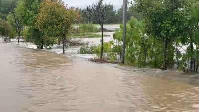 李店镇全力迎战极端强降雨天气：雨量逼近历史极值，紧急转移群众16人
