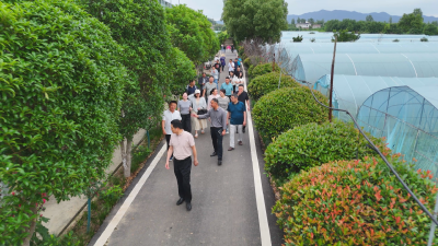 打破讲台边界！市委党校夏季学期中青班学员“实践课堂”淬炼提能