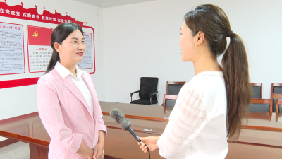 市妇联:创新思路抓党建践行见效促发展