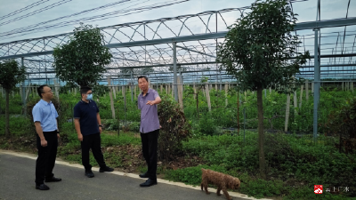 市气象局：联合金融机构开展灾后调研