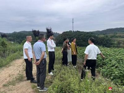 杨寨镇：学看议结合促履职 一线调研助发展