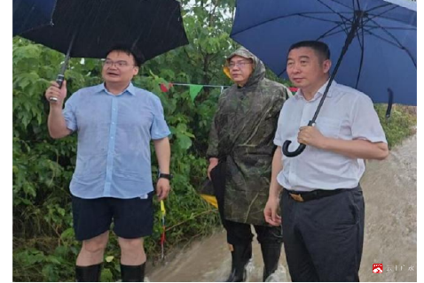 暴雨来袭勇担当 防汛一线护民安 ——广水市骆店镇全力应对特大强降雨纪实