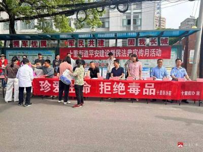 十里街道：普法禁毒护民生 依法信访筑和谐