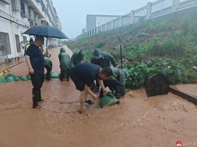 闻“汛”而动守家园 清淤疏堵暖民心——城西社区党员干部筑牢汛期安全防线