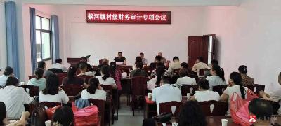 广水市蔡河财政所召开村级财务审计专项会议 筑牢基层财务“防火墙”
