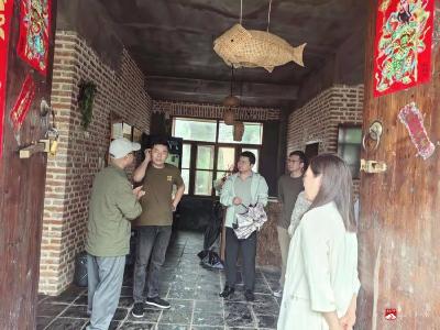 访桃源村，广电赋能助振兴  ——省广电局调研组深入广水武胜关镇桃源村调研