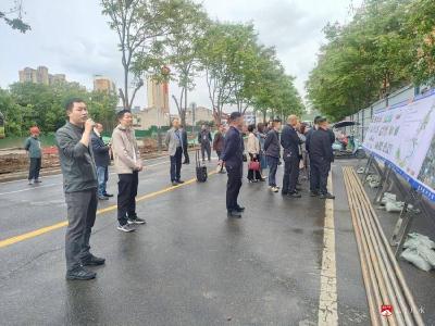 履职添动力城市增品质——应山街道人大代表建言献策助推城市高质量建设