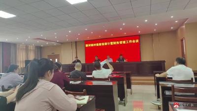 蔡河镇召开村级财务审计暨财务管理工作会议，筑牢乡村振兴“资金防线”