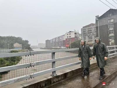 武胜关镇全力筑牢防汛安全屏障