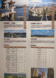广水市自然资源和规划局：亮相第六届投洽会推介优质地块共绘新蓝图
