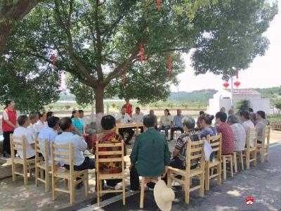 大槐树下话文明——广水市十里街道杨家岗村以小切口推进大文明