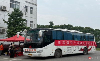 热血献爱心 财政显担当