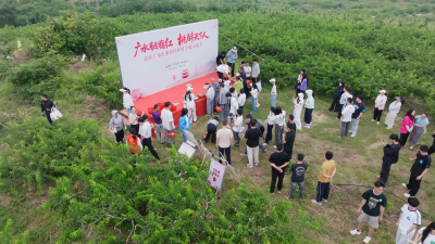 桃醉天下人 喜迎八方客  广水市胭脂红鲜桃丰收采摘节火热举行