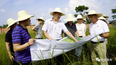 陈兴旺就推进随县部分重点项目规划建设进行现场办公