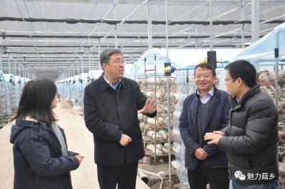 陈兴旺到三里岗镇调研项目建设