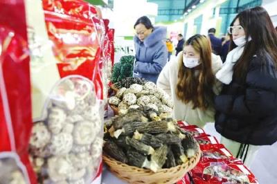 “香”约随州 “菇”行天下——2023湖北·随州国际香菇产业博览会侧记
