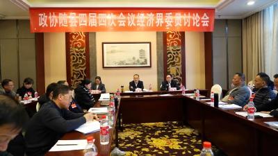 聚焦两会 | 陈良参加政协随县四届四次会议经济界委员讨论会