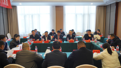 聚焦两会 | 姜辛辛、王成民参加县四届人大四次会议三里岗、均川代表团审议