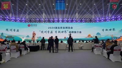 2024湖北农业博览会“随州香菇 香飘世界”品牌推介活动成功举办 