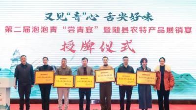 回望奋进路 砥砺新征程 | 随县乡投集团：以产业“含新量”推动高质量发展“含金量”