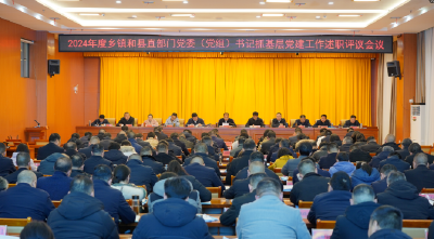 2024年度乡镇和县直部门党委（党组）书记抓基层党建工作述职评议会议召开