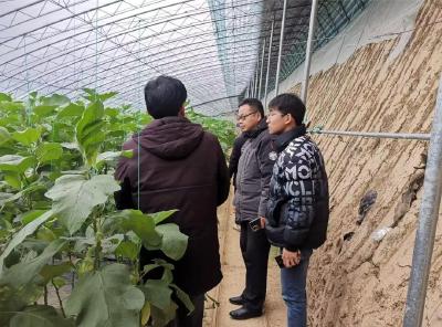 加强技术服务指导 打好开年农业生产第一仗