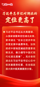 拼！抢！进！湖北这样建支点