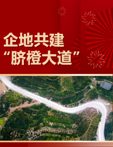秭归这里修了“脐橙大道”……