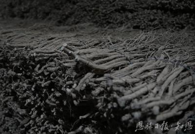 前山·“钱”山 