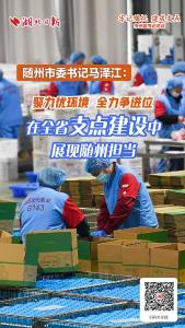 随州市委书记马泽江：聚力优环境 全力争进位 在全省支点建设中展现随州担当