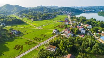 绘就乡村好“丰”景——宜昌奋力推进乡村全域全员全面振兴 