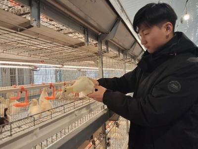 ​从“深闺珍禽”到“国民爆款”——看阳新屯鸟如何走出产业破圈之路  