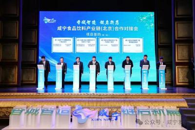 聚力建支点 夺取开门红｜从新春“第一签”看咸宁招商引资新变化 