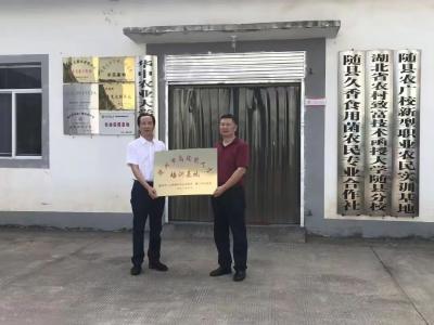 喜报！“随县香菇种植工”技能人才培养新模式改革事项获省通报表扬