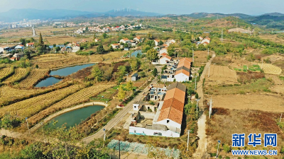 乡村振兴在行动丨“工厂化”链式种粮，“落后村”变成和美村