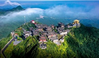 穿越千年祈福地，遇见十万野樱花！随州大洪山风景区邀你共赴浪漫之约