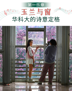 武汉早春四重奏暴击！玉兰窗景、单车骑行、咖啡慢调……第四重绝了