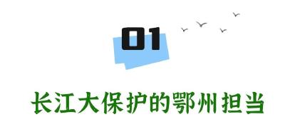 以生态“含绿量”提升发展“含金量”，鄂州这样点“绿”成金 