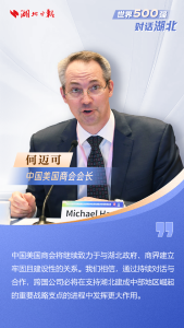 助力支点建设！圆桌会上，世界500强大咖们说——