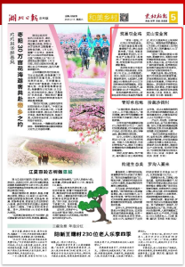 农村新报 | 筑巢引金鸡 荒山变金窝
