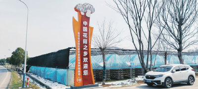 从乡村菇棚到城市餐桌——草店镇石庙村香菇产业年增收50万元的“绿色答案”