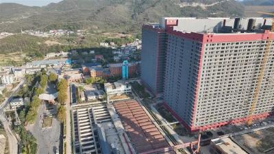 “一头猪”出圈成全国样本——鄂州“养猪天塔”点亮农业新质生产力“灯塔”