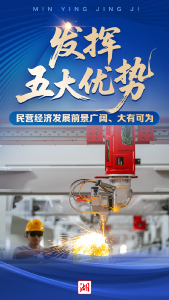 三个五！藏着湖北民营经济的发展密码 