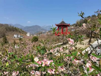 学习武汉，宜昌如何玩“花样”