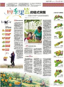 “四季果篮”的链式突围 ——恩施州水果产业发展密码解构 