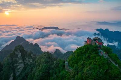 崇阳：“竹业革命”记