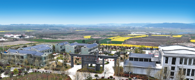 “五色兴村”打造振兴样板——党建引领乡村振兴的“凤凰山”实践