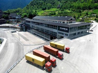 从有机茶园到全球市场 鹤峰式服务助力大宗茶扬帆出海 