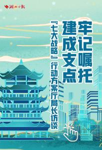 电子书丨“七大战略”行动方案厅局长访谈